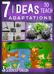 7 Ideas To Teach Animal Adaptations The Science Penguin