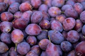 If you know synonyms for damson plum, then you can share it or put your rating in listed similar words. Top View Over Large Number Of Damson Plums Stock Photo Picture And Royalty Free Image Image 110755117