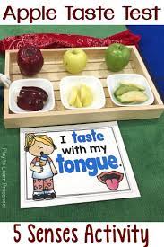Pin On Science 5 Senses Preschool