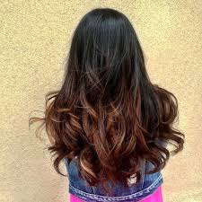 First of all mix the gooseberry powder with half squeezed lemon juice and apply slowly and consistently on the scalp, keep it for an hour or so and then shampoo your hair. Black To Brown Ombre Hair Black Hair Ombre Blonde Hair Tips Ombre Hair Blonde