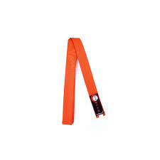 4 cm breit erhältlich in den längen 160, 180, 200, 220, 240, 260, 280, 300, 330 und 350 cm achtung nicht jede größe ist auch in jeder farbe lieferbar. Karate Judo Gurtel Gurtel Fur Karate Un Judo Judo Karate Obi