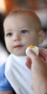 Two New Studies Make The Case For Feeding Kids Cow S Milk And Eggs Feeding Kids Eggs For Baby Milk And Eggs