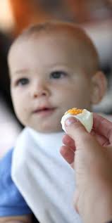 Find das blöd, wenn wir ihr bei den heißen temperaturen was voressen. Two New Studies Make The Case For Feeding Kids Cow S Milk And Eggs Feeding Kids Eggs For Baby Milk And Eggs