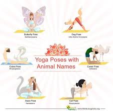 This does not only on the vibration plate. 200 Hrs Yoga India Rishikulyogshal Animal Yoga Yoga Poses Names Cat Pose Yoga