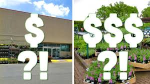 Whether you're looking for indoor plants, outdoor plants, house plants, flower plants, trees, annuals or perennials, the home depot has something for everyone. Where Should You Buy Your Plants The Watershed Company
