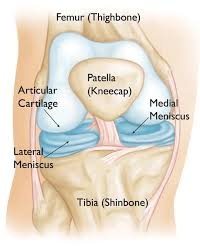 Oct 21, 2021 · the team spirit that has helped falcons overcome their former status is the reason why no8 carl fearns will be sporting a full body spray tan in one of their matches this season. Dr Bradley Seeto Meniscal Tears Knee Pain No Gap Knee Surgery