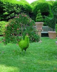 Peacock Garden Art Topiary Garden Garden Art Grasses Landscaping