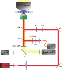 Analizador de energía hemisférico modelo alpha 110 y detector multicanal. Construction And Operation Of A Light Driven Gold Nanorod Rotary Motor System Protocol Translated To Spanish