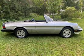 Image result for Avorio 1984 Alfa-Romeo