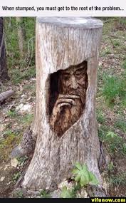 28 Funny Memes Of Today S Funnymemes Funnypictures Humor Funnytexts Funnyquotes Funnyanimals Funny Lol Wood Carving Art Tree Sculpture Tree Carving