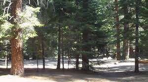 I've been going to the cedar grove village for many years since i retired. Cedar Grove Campground Youtube