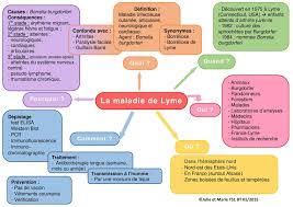 • aroma lyme est un protocole qui soigne la maladie de lyme grâce aux huiles essentielles. Calameo Carte Heuristique Ppe Maladie Lyme