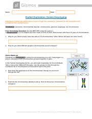 Respond to the questions and prompts in the orange boxes. Human Karyotyping Gizmo Pdf Name Date Student Exploration Human Karyotyping Directions Follow The Instructions To Go Through The Simulation Respond To Course Hero