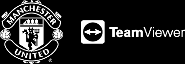 Teamviewer's logo will appear on the. 93sy2qljlktkwm