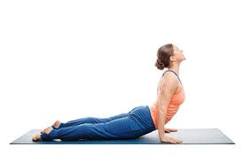 Upward Facing Dog Workout Routines For Beginners Yoga Workout Routine Easy Yoga Workouts