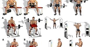 Bicepts Workout Workoutvic Org