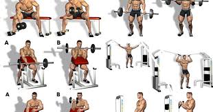 bicepts workout workoutvic org