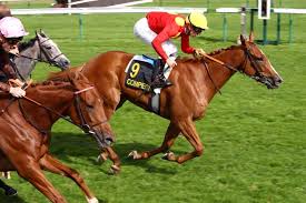 Regardez ici le calendrier mensuel de calendrier novembre 2019 et y compris les numéros de semaine. Pmu Resultat De La Course Prix De La Vallee De L Automne 3 Oct 2019 Canalturf