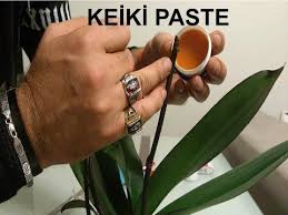 Orkideniz Keiki Vermiyor Mu Iste Formulu Youtube Orkideler Bitki Saksi Bitkileri