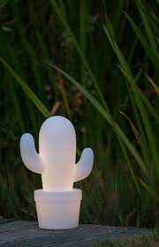 If you were visiting cacti in the wild, this feature will help you narrow down the potential species from that area. Cactus Tischlampe Aussen O 22 7 Cm Led Dim 1x2w 2700k Ip44 Weiss