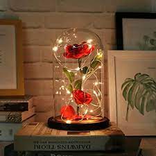 Amazon Com Urbanseasons Beauty And The Beast Rose Rose Kit Red Silk Rose And Led Light With Fallen Petals In Glass Dome On Wooden Base Valentine S Day Anniversary Birthday Home Kitchen