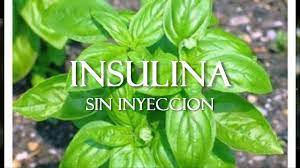 Diabetes Azucar Alta Insulina Natural Por Chef Ismael Y Dr Naturopata Youtube