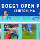 Doggy Open Play