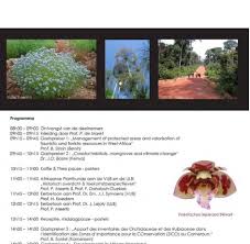 Image result for Aneilema spekei