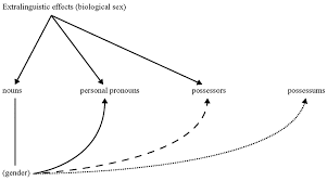 It is divided into seven districts and is afghanistan's least populous. Nominal And Pronominal Gender Putting Greenberg S Universal 43 To The Test In Stuf Language Typology And Universals Volume 73 Issue 4 2020