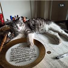 Kayip Kedi Goren Duyan