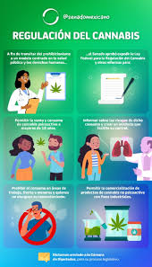 Relativo al gioco, al divertimento come libera manifestazione della psiche, spec. Que Significa El Termino Uso Ludico De La Marihuana Muy Interesante