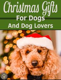 The best christmas gifts are the ones you know she'll get great use out of. 10 Perfect Christmas Gifts For Doodle Lovers Timberidge Goldendoodles