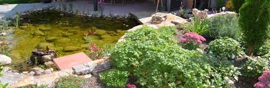 Wasser ist eines der spannendsten elemente im garten. Wasser Im Garten Gartengestaltung Heid