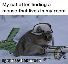 How do we love these love memes? 34 Wholesome Memes To Turn That Frown Upside Down Funny Gallery