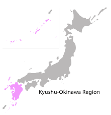 The history and types of karate. Neues Aus Japan