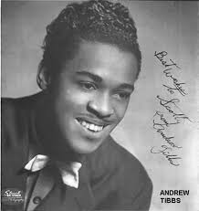 Marv Goldberg's R&B Notebooks