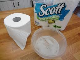 Expensive) rv safe toilet paper. Safe Camper Toilet Paper Travel Trailer Camping Camping Camper Camper Equipment