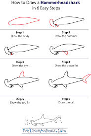 I am a mom o. How To Draw A Hammerhead Shark Shark Drawing Shark Drawing Easy