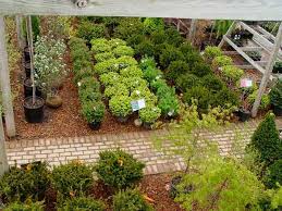 Maybe you would like to learn more about one of these? Open To The Public The Swartz Nurseries Landscaping Kenosha Wi