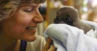 Jeremy Keeling's Instagram, Twitter & Facebook