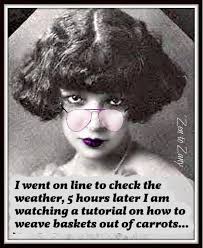 LOL…. This is me.😂🤣😂. Anyone else get carried away,