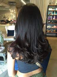 Dark Hair Blowout Long Layers Haircuts Straight Hair Hair Lengths Haircuts For Medium Hair