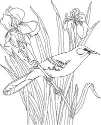 You can learn more about this in our help section. Mockingbird And Beautiful Orchid Coloring Pages Color Luna