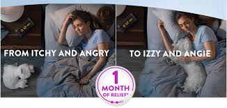Maybe you would like to learn more about one of these? Cytopoint Home Zoetis Uk