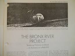 40 Years Ago The Bronx River Project Bronx River Sankofa