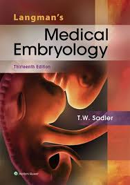 Langman S Medical Embryology 13th Ed 2015 Medical Book Free Download Clinical Medicine Medical Textbooks Medical Library Medical