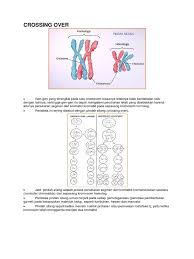 Maybe you would like to learn more about one of these? Crossing Over