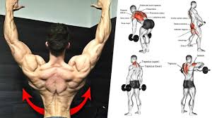 To simplify things, i'm going to split the back into three sections; Best Exercises To Build Back Workout With Muscles Anatomy Youtube