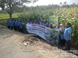 Dalam membudidayakan padi, setidaknya terdapat 5 teknologi tepat guna yang dibutuhkan oleh petani padi supaya pekerjaannya lebih mudah dan efektif. Temu Teknis Optimalisasi Lahan Dengan Quot Turiman Quot Di Bpp Wates