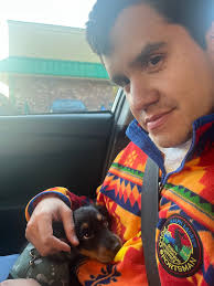 Donna's House of Dachshunds